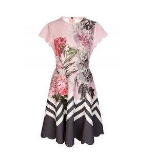 NWT Ted Baker Dress (TB size 3)